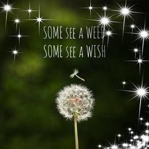 Meet your Posher, Sonia